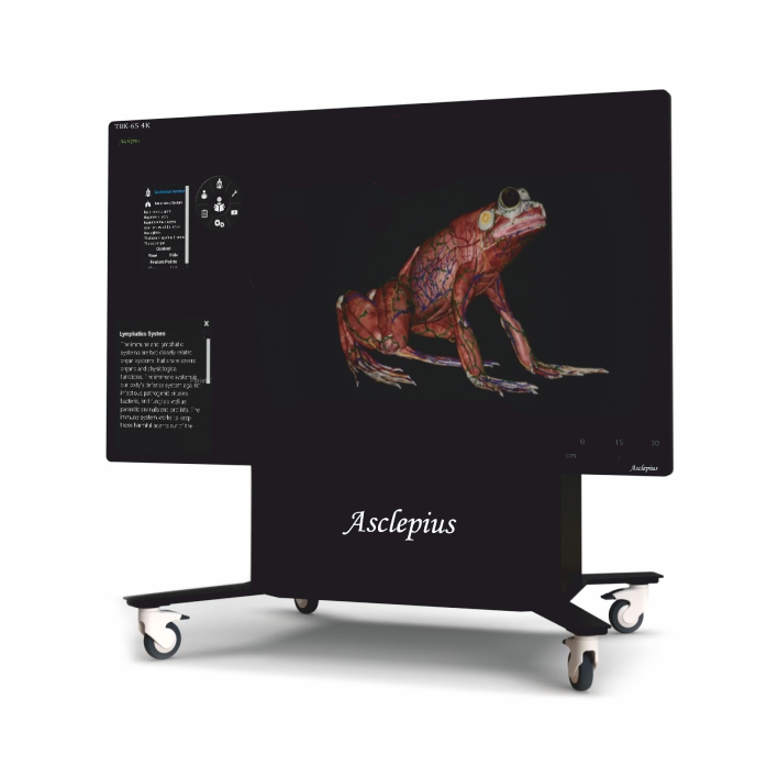 TBK-65 4K-VET Virtuální anatomické pitevní stoly Asclepius: Virtuální pitevní stůl Asclepius 65 4K - veterinární